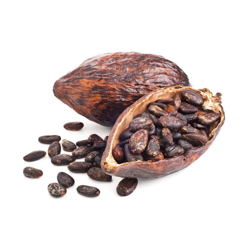 Cacao