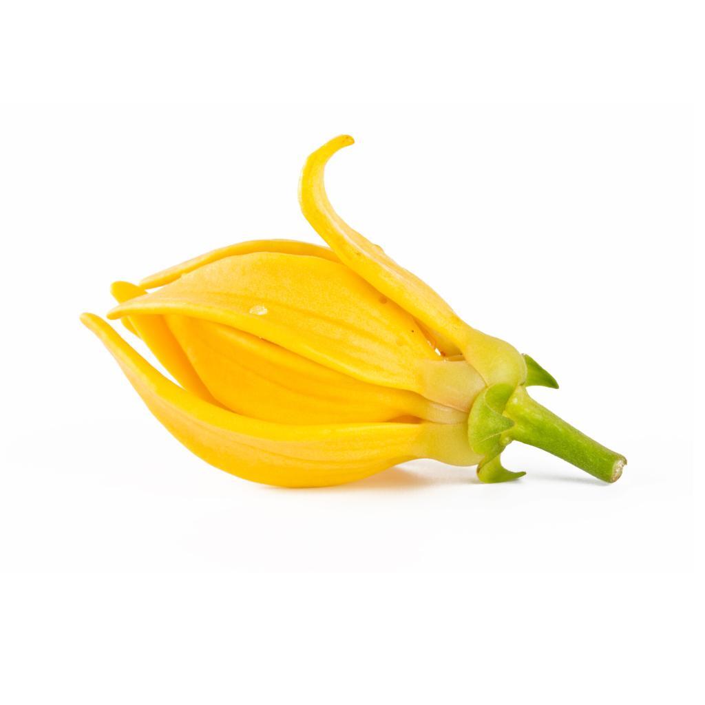 Ylang-Ylang